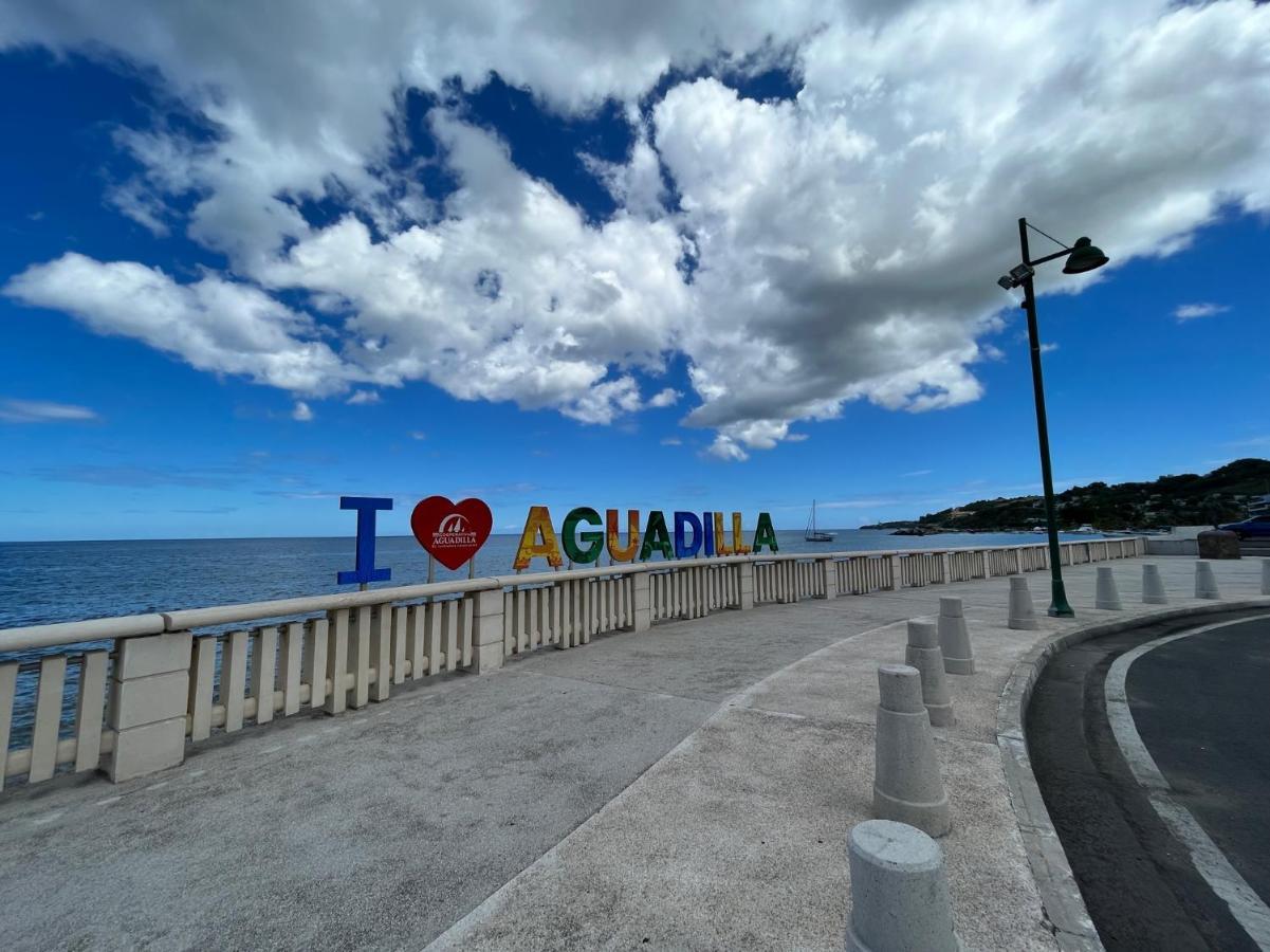 1A - Large Beach House Near Crash Boat Beach Aguadilla Bagian luar foto
